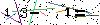 Veiligheids Code